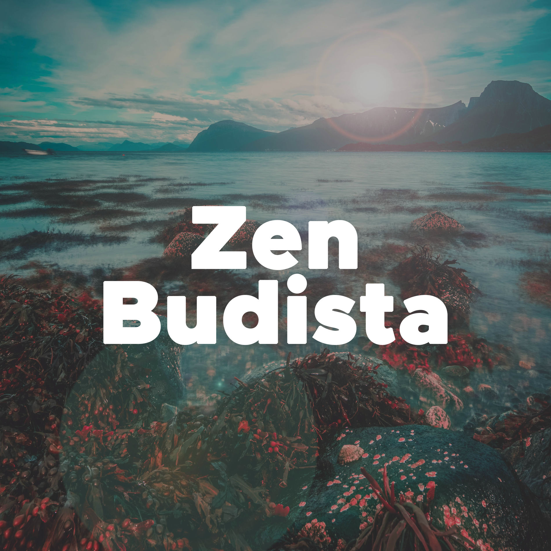 Album cover of Musica Zen Budista para Dormir Profundamente