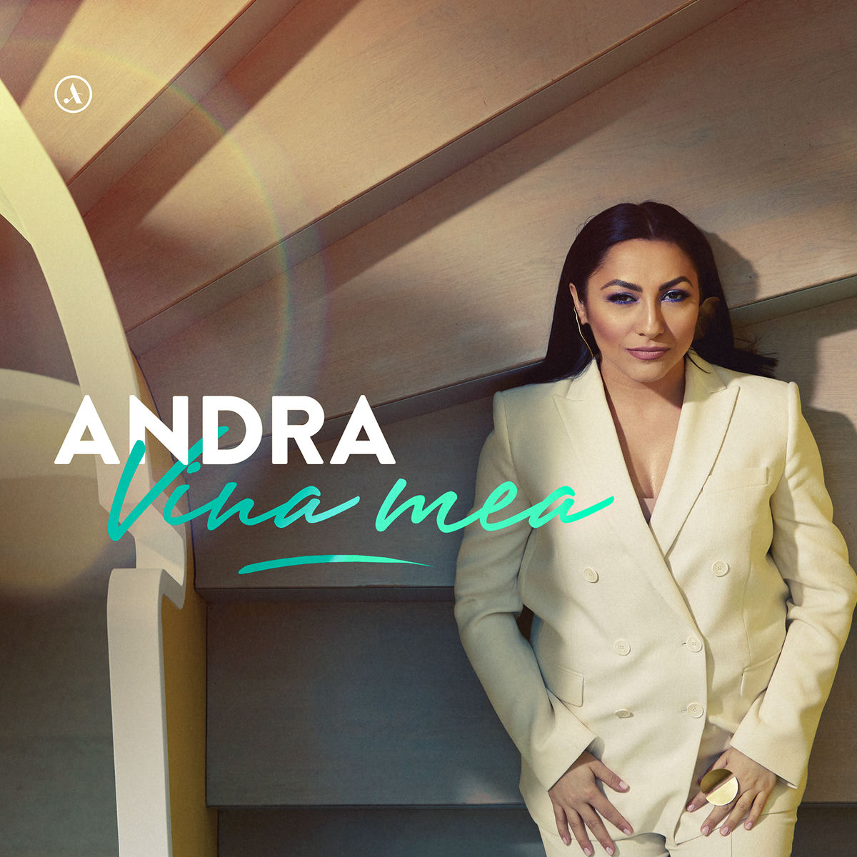 Album cover of Vina Mea