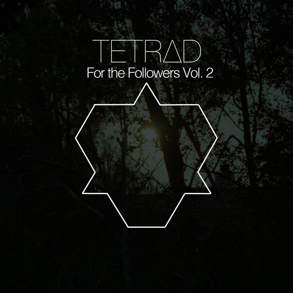 Picture of For the Followers, Vol. 2