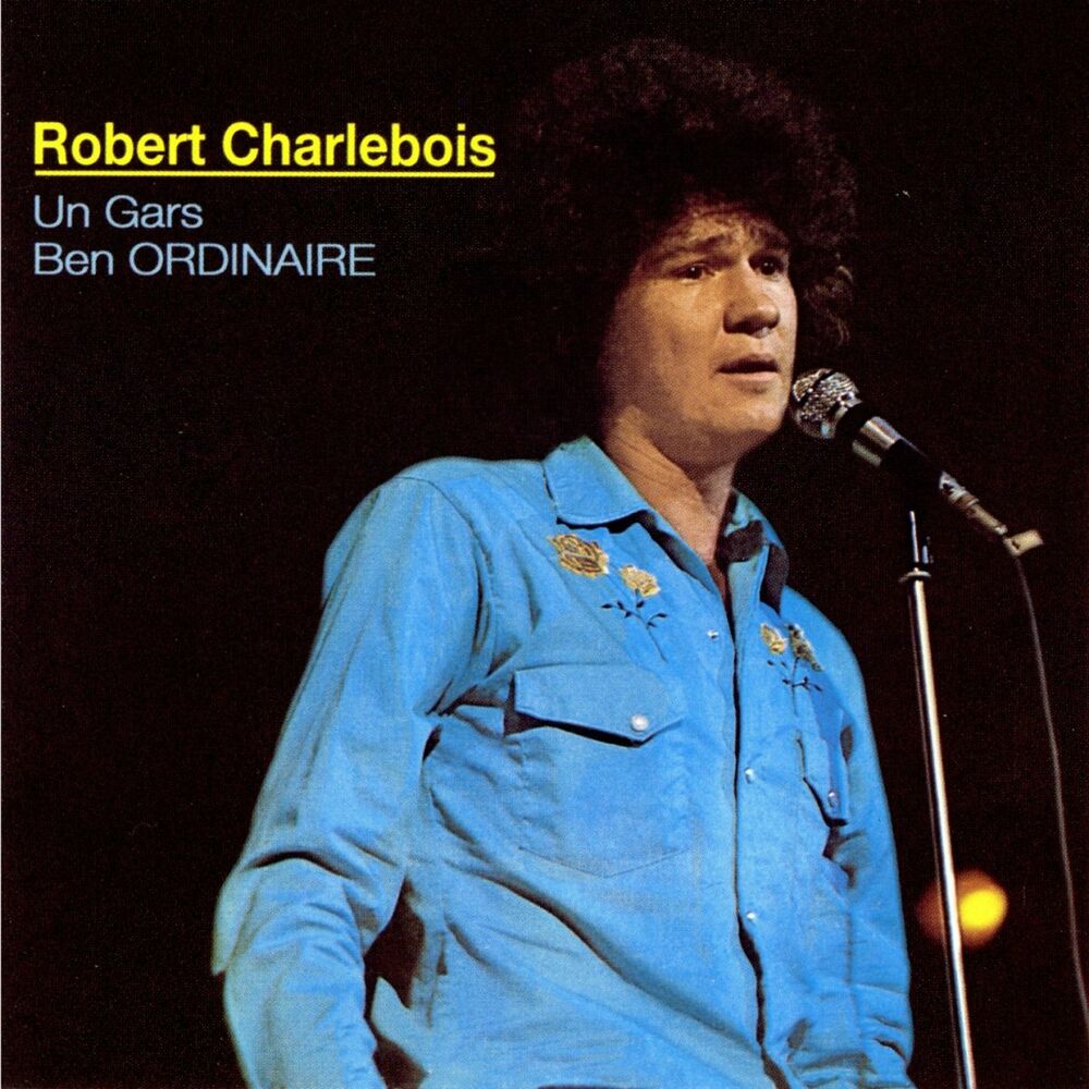 Picture of Un gars ben ordinaire