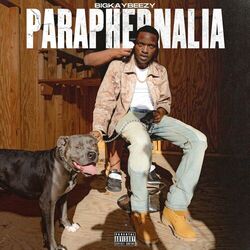Cover of Paraphernalia
