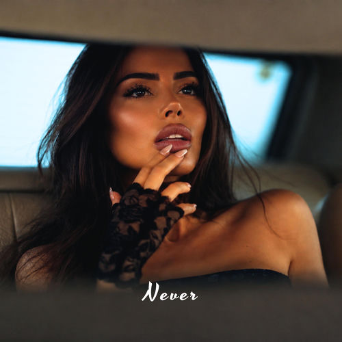 Never sleeve