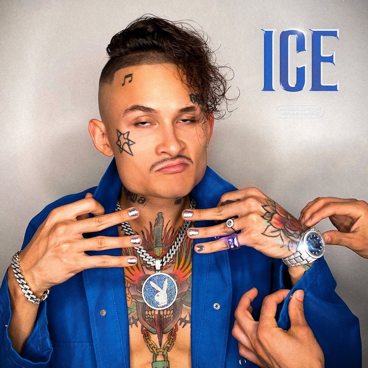 Album cover of ICE