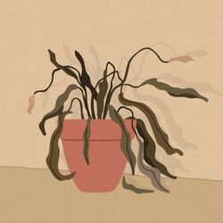 Cover of Dead Plants