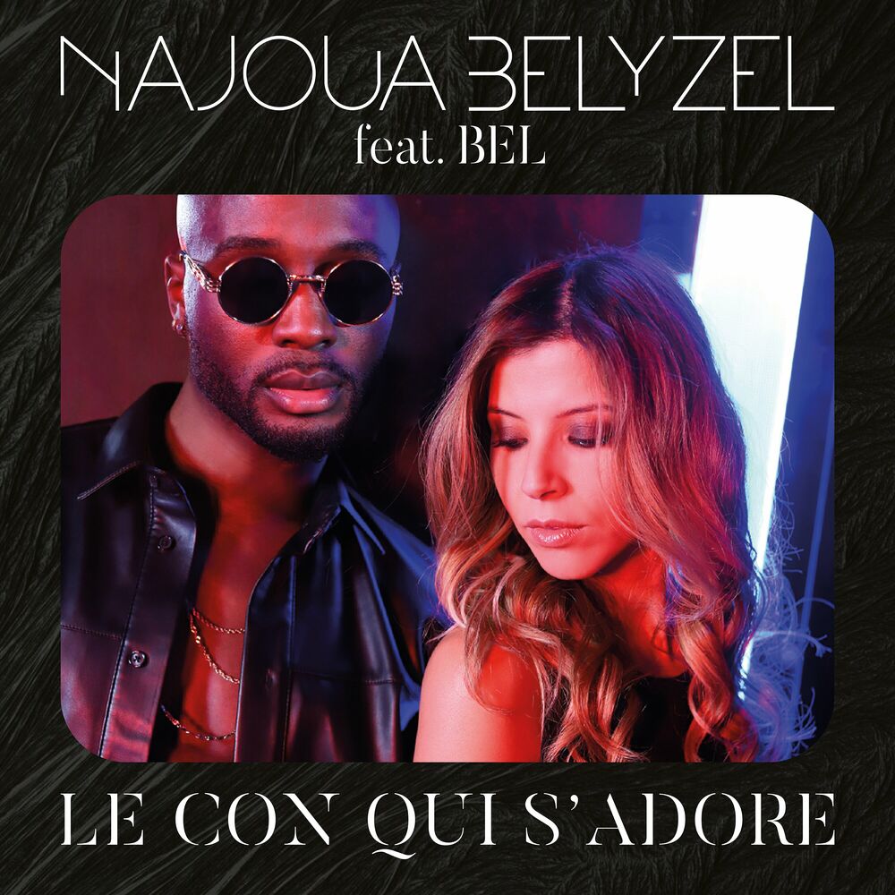 Picture of Le con qui s'adore