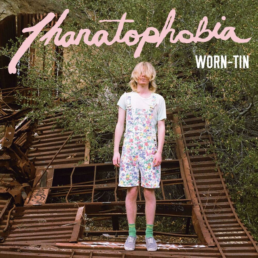 Picture of Thanatophobia
