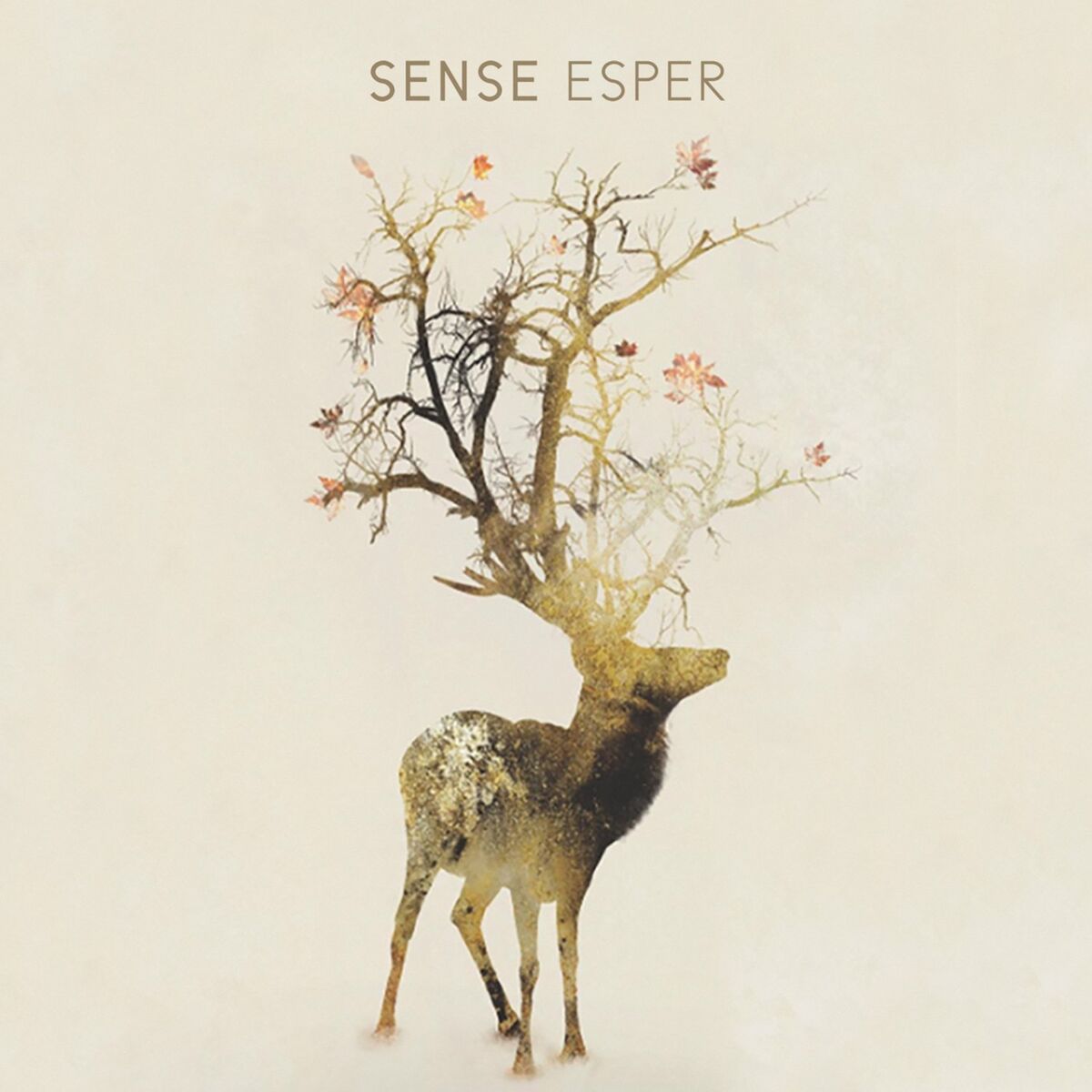 Album cover of Esper