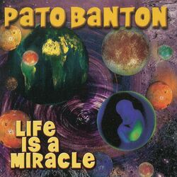 Cover of Life Is a Miracle