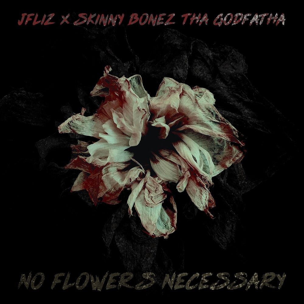 Picture of No Flowers Necessary
