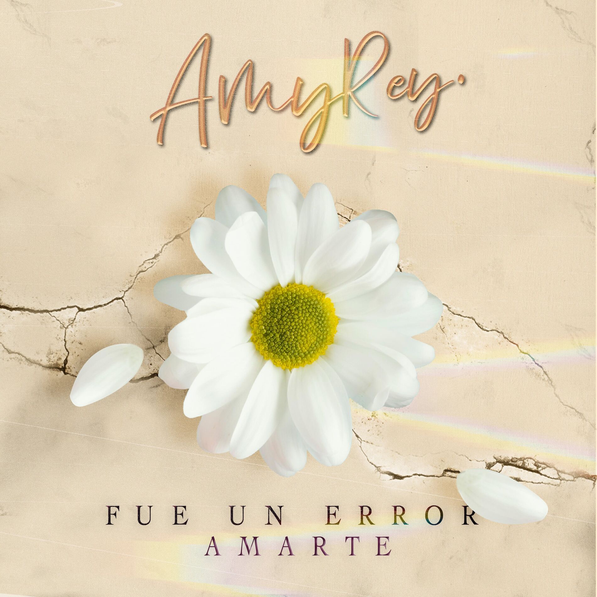 Album cover of Fue un Error Amarte