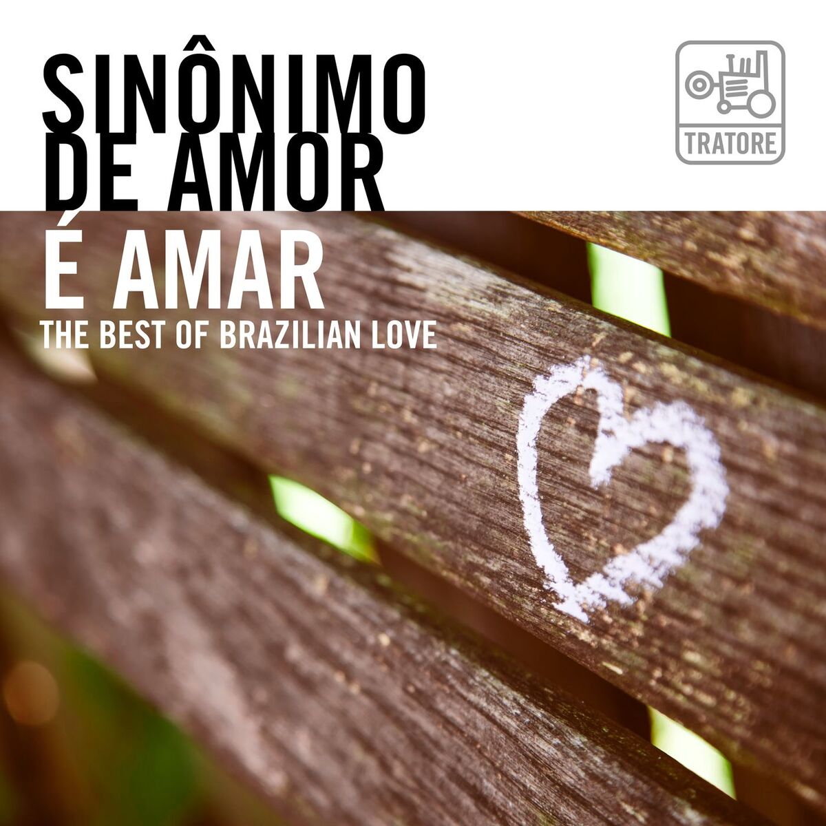 Album cover of Sinônimo de Amor É Amar: Música Romântica e Apaixonada / the Best Brazilian Love Songs