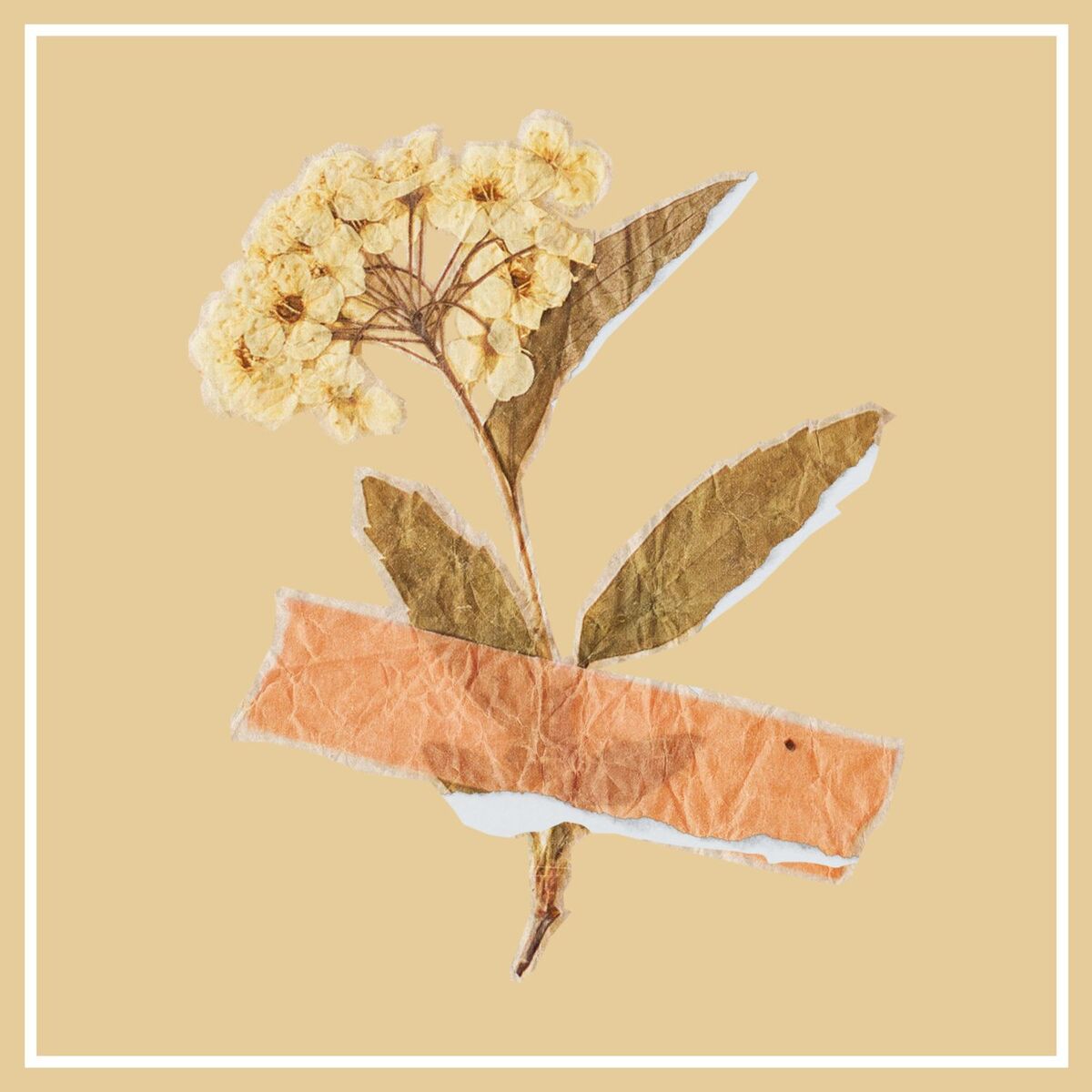 Album cover of Low Fidelity (Lofi)