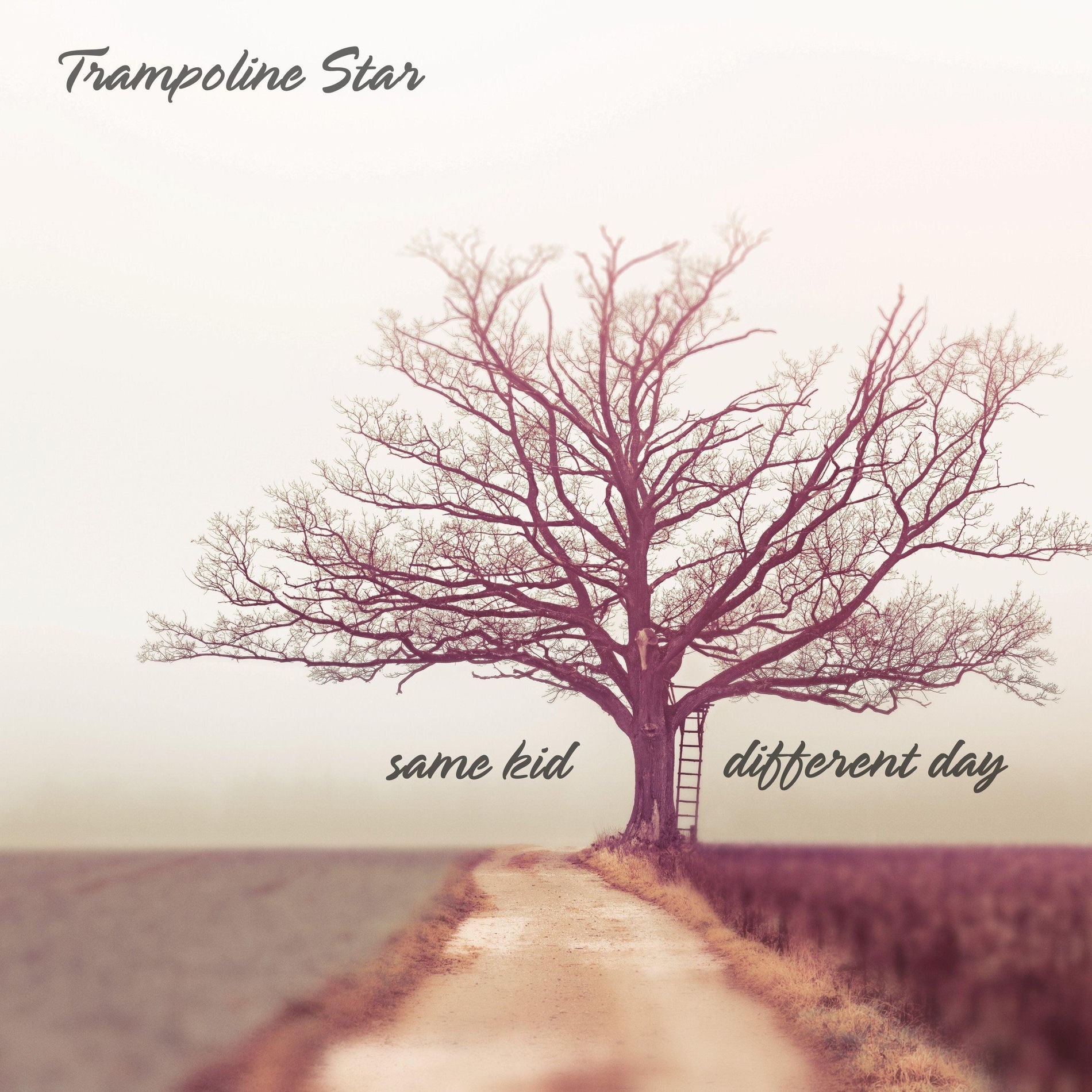 Album cover of All Our Lives