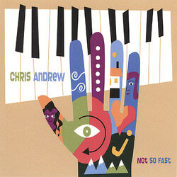 Cover of Not So Fast