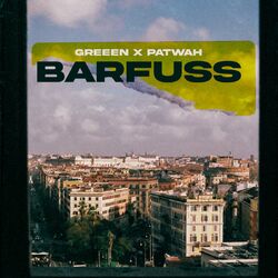 Cover of Barfuss