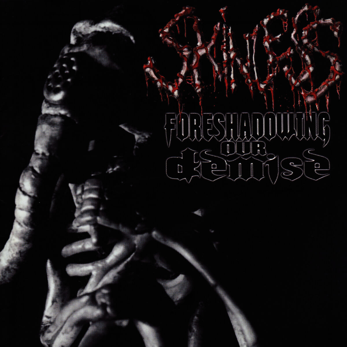 Album cover of Foreshadowing Our Demise