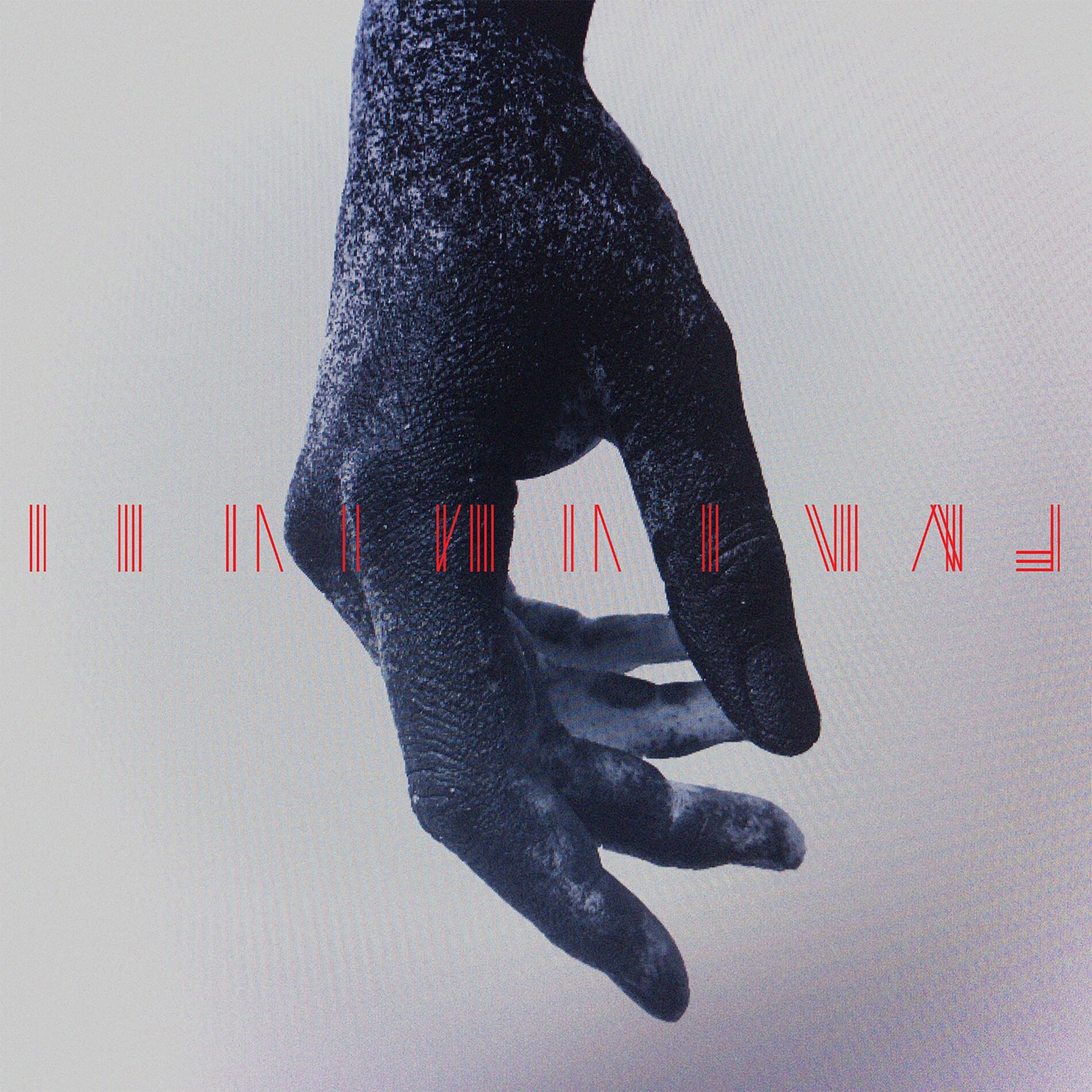Album cover of Ayodele / Domino