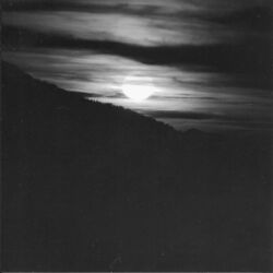 Cover of Darkness