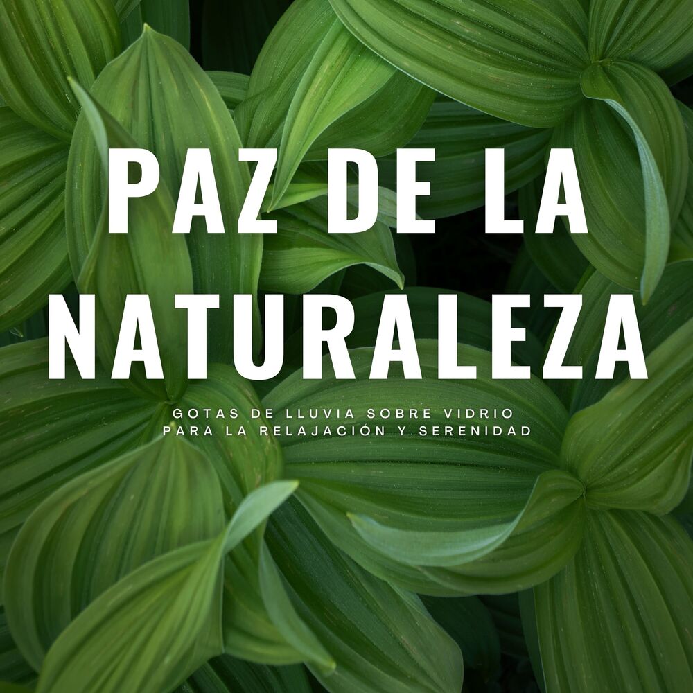 Picture of Paz De La Naturaleza: Gotas De Lluvia Sobre Vidrio Para La Relajación Y Serenidad