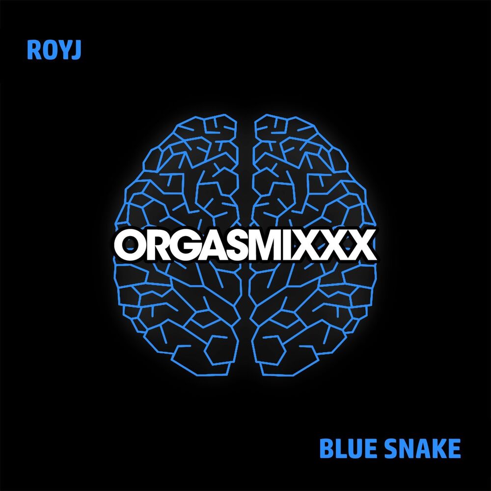 Picture of Blue Snake