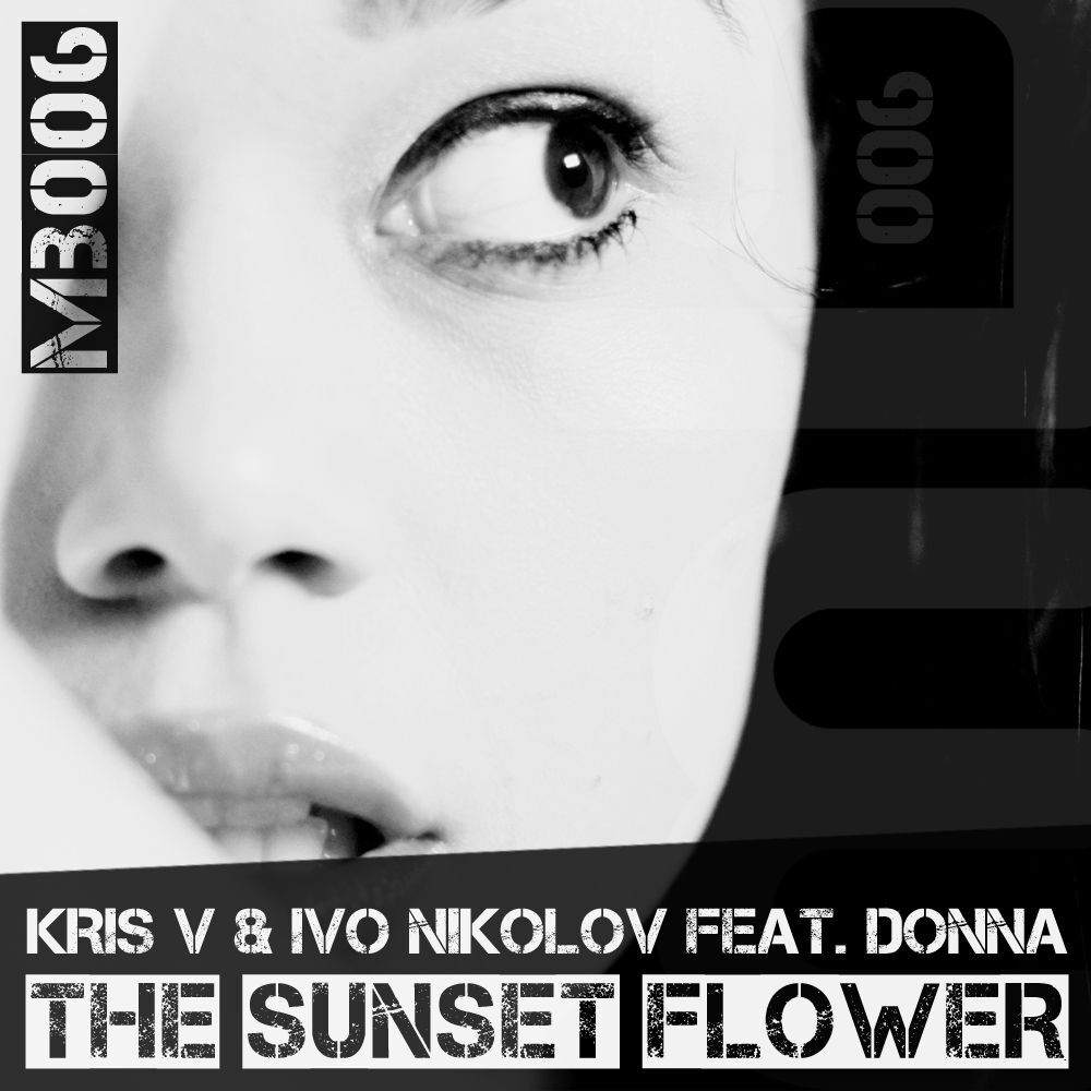 Picture of The Sunset Flower