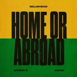 Cover of Home or Abroad