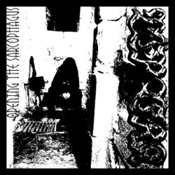 Cover of Opening The Sarcophagus
