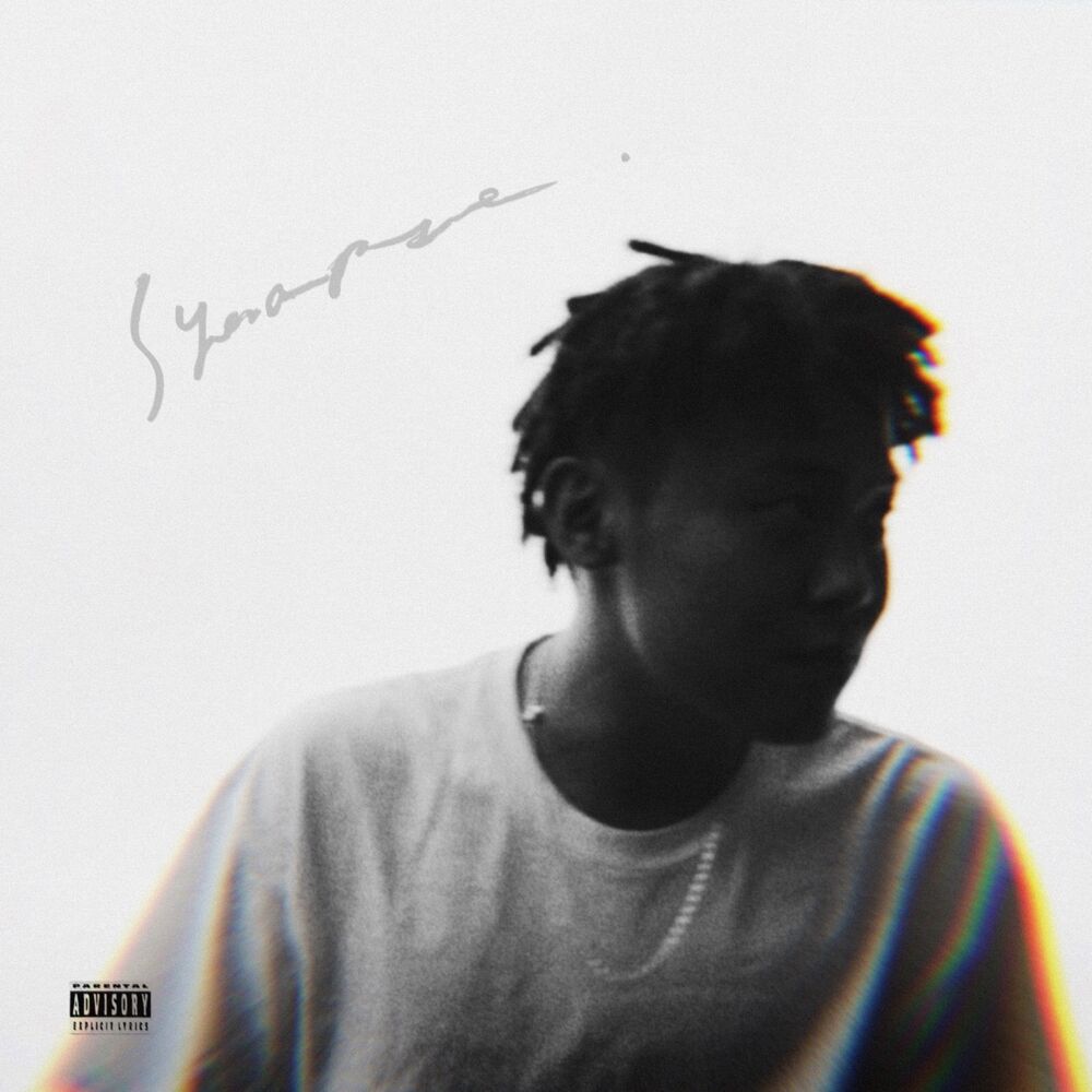 Picture of Synapse