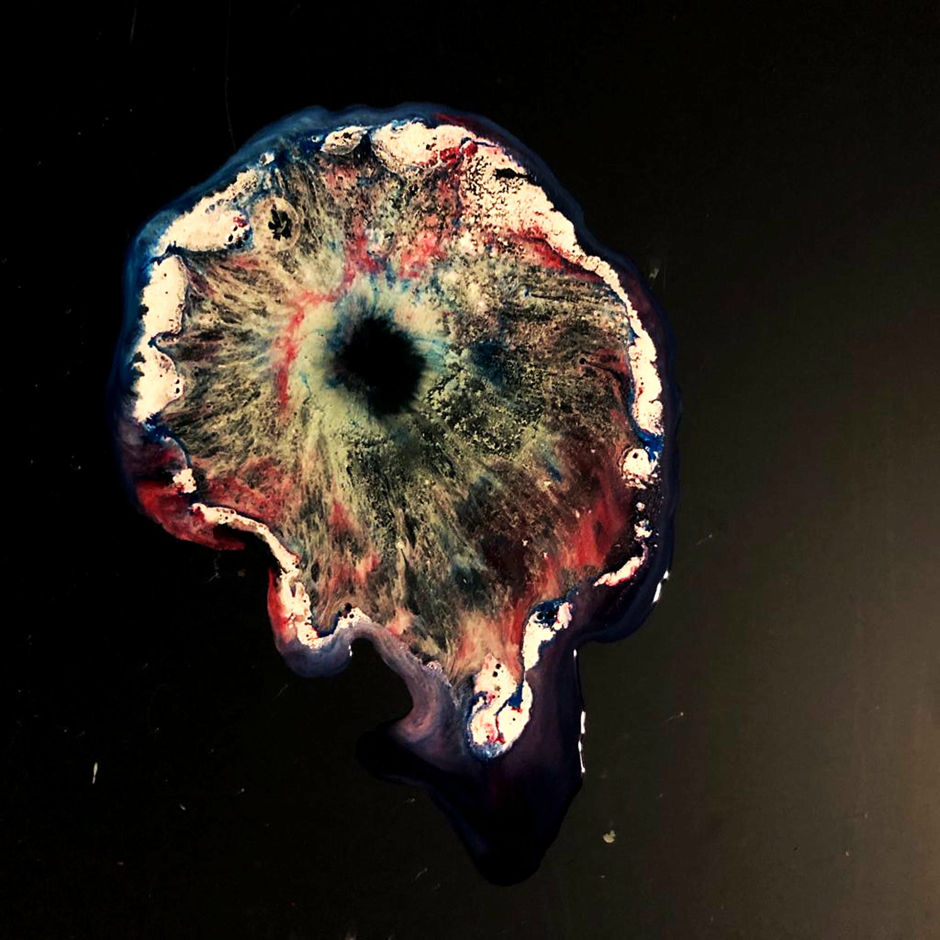 Album cover of Vecuronium