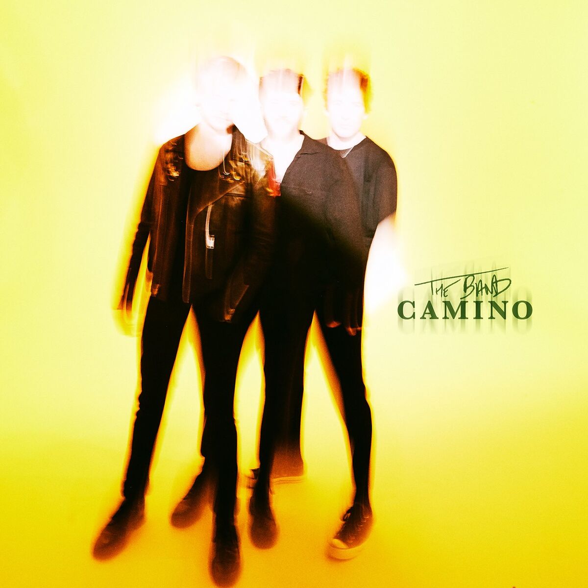 Album cover of I Think I Like You (Radio Edit)