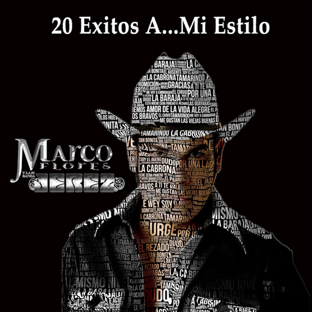 Album cover of 20 Exitos a… Mi Estilo