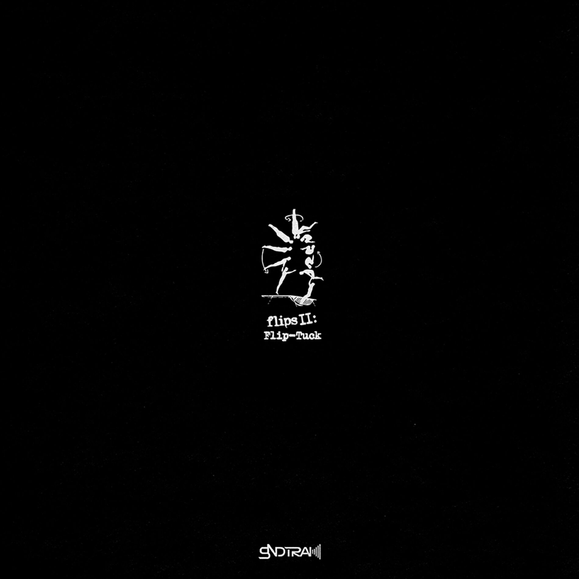 Album cover of Flips V2: Flip-Tuck