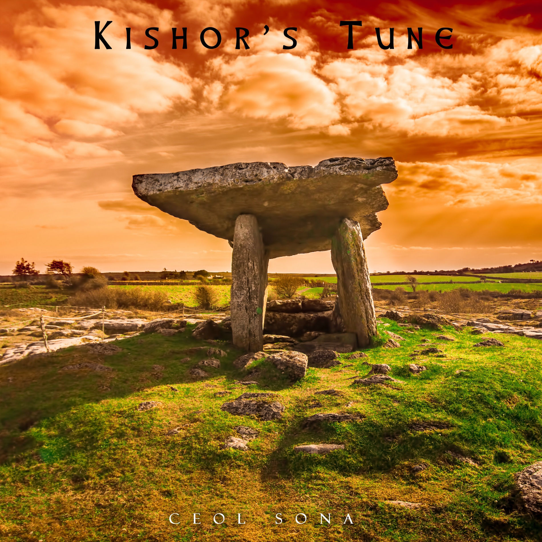 Album cover of Kishor's Tune