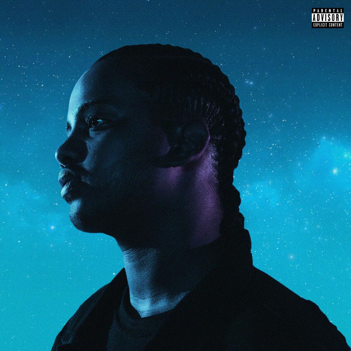 Album cover of STAY