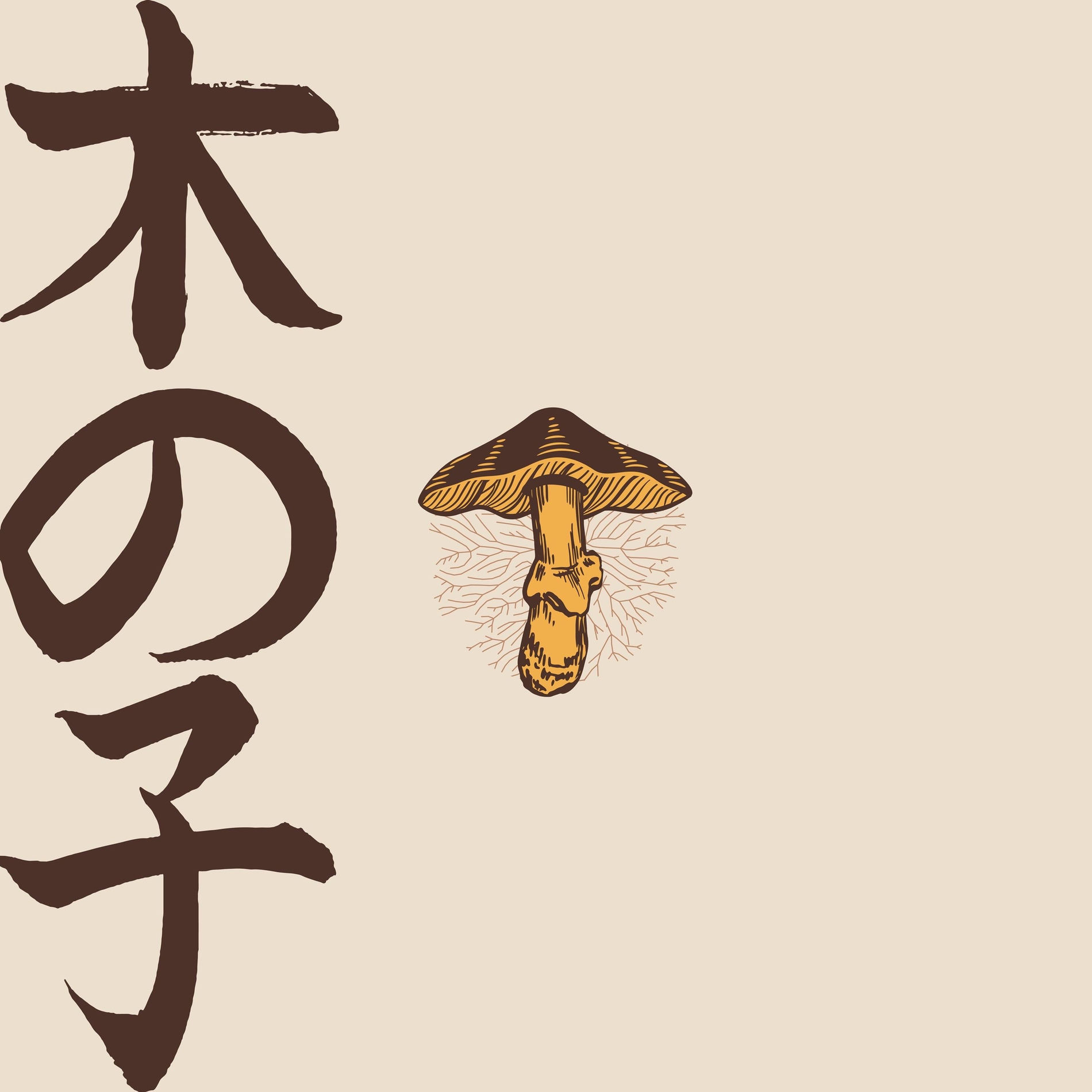 Album cover of Iluminado