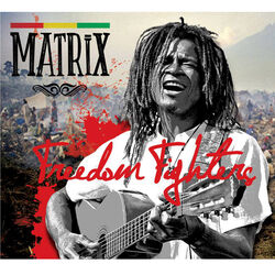 Cover of Freedom Fighters