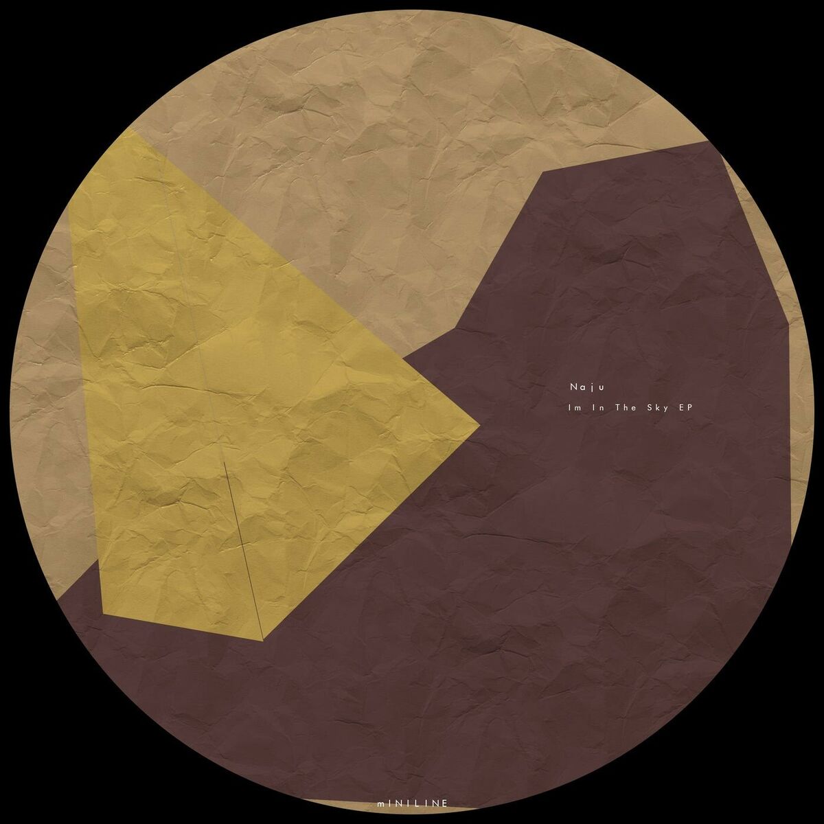 Album cover of Im In The Sky EP