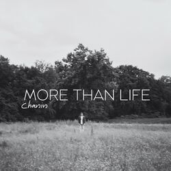 Cover of More Than Life
