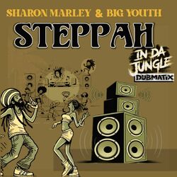 Cover of Steppah In Da Jungle Dubmatix (Remix)