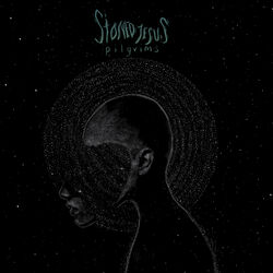 Cover of Pilgrims