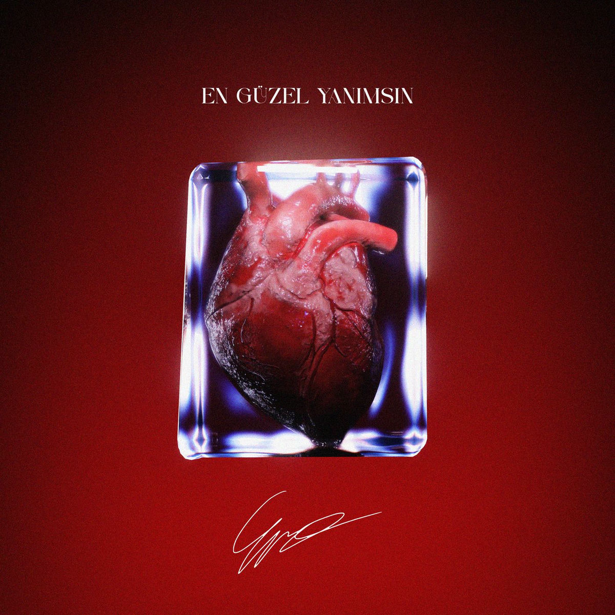Album cover of EN GÜZEL YANIMSIN