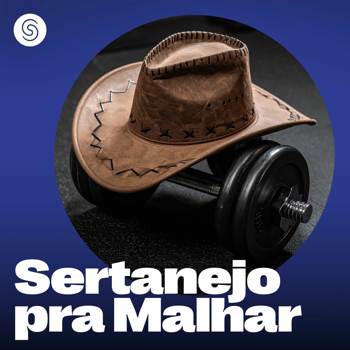 Album cover of Sertanejo pra Malhar - Energia no Treino Sertanejo (Ao Vivo)