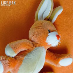 Cover of Like bak