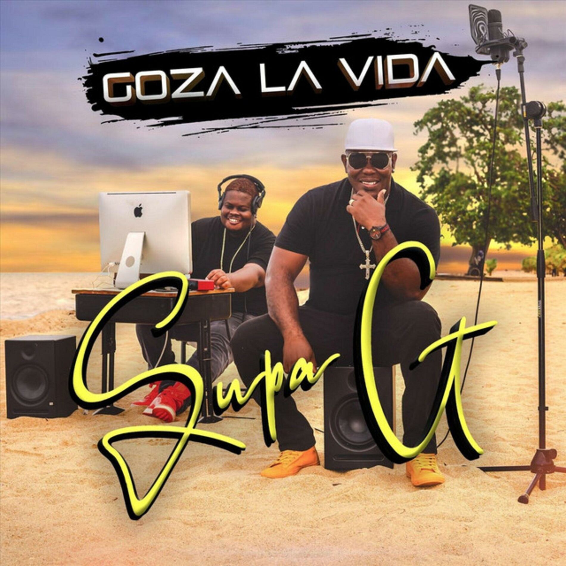 Album cover of GOZA LA VIDA