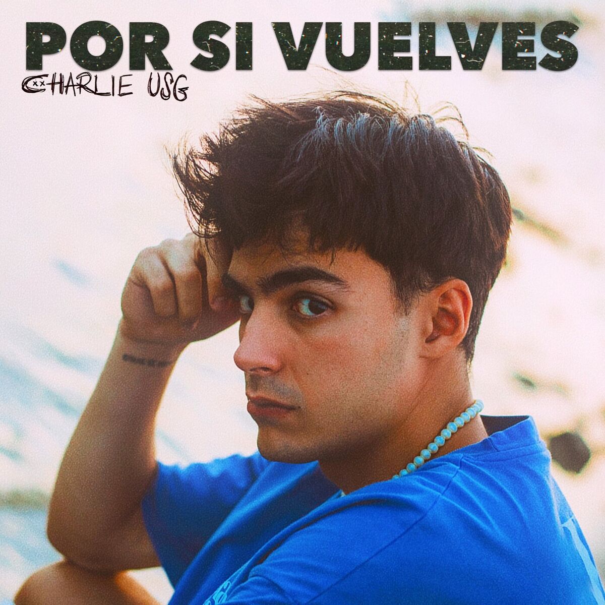 Album cover of Por si vuelves