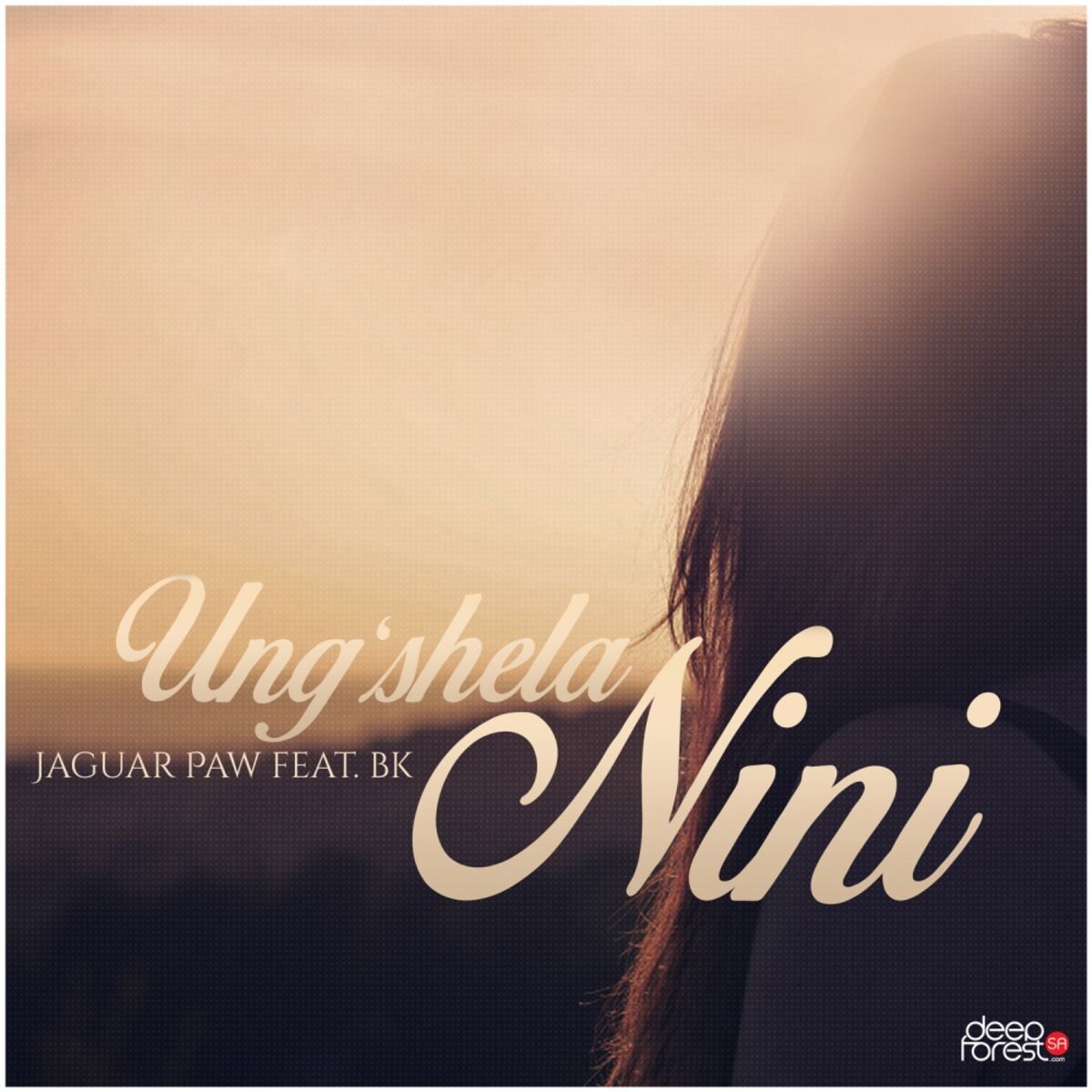 Album cover of Ungshela Nini