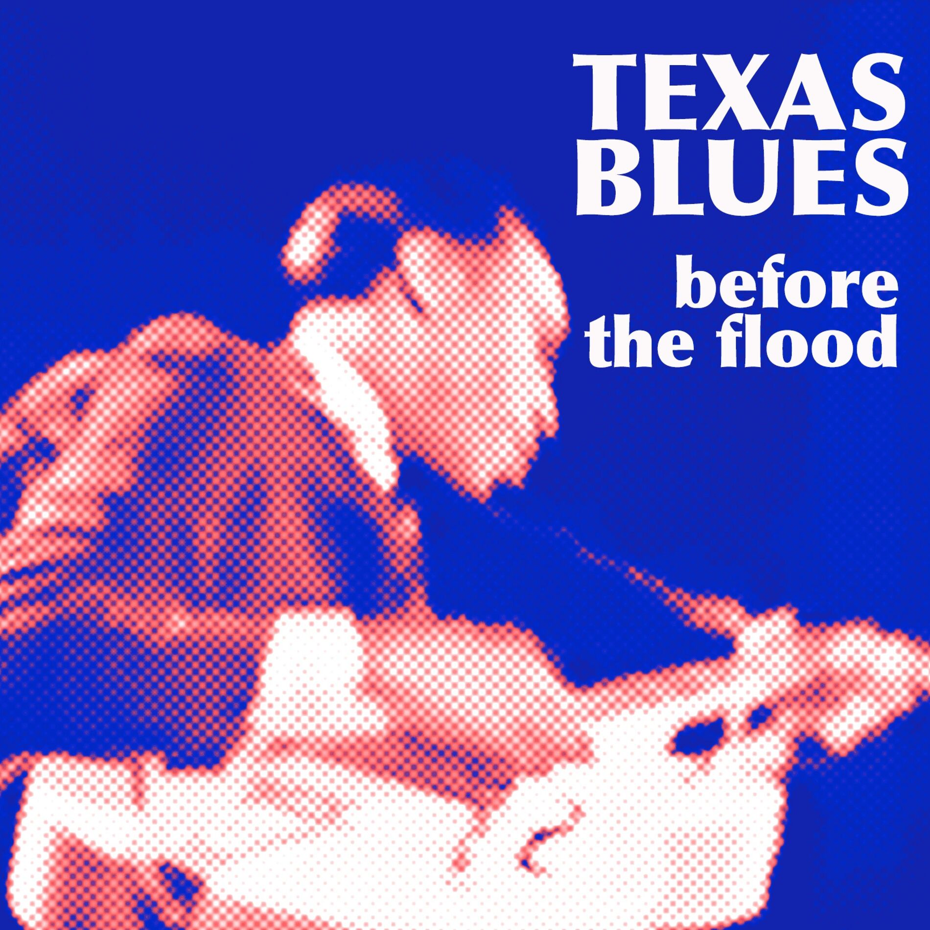 Album cover of Texas Before The Flood
