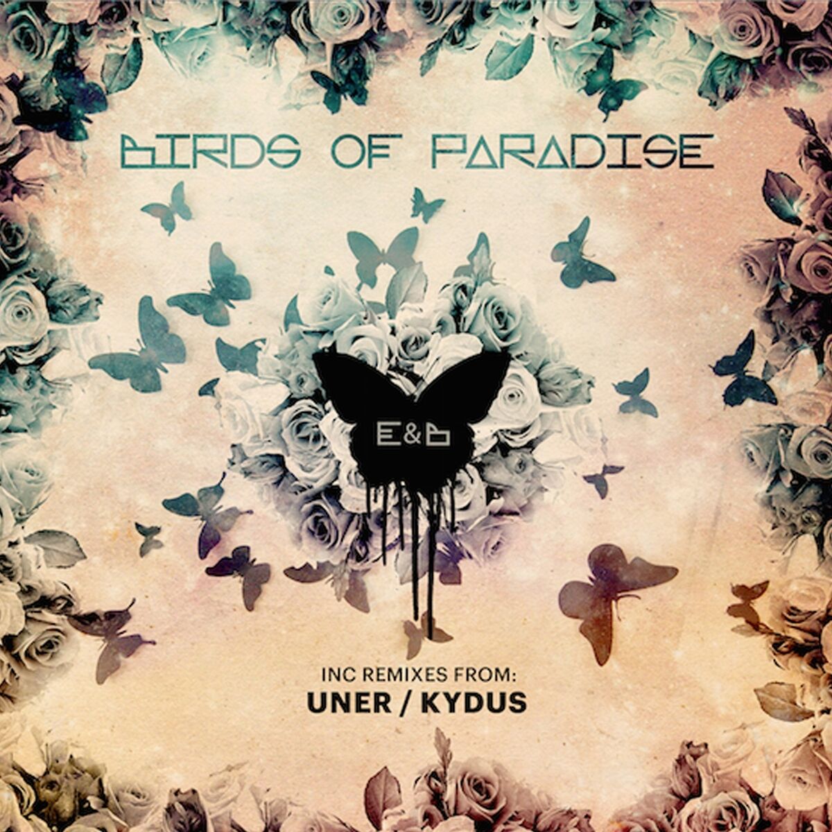 Album cover of Birds of Paradise