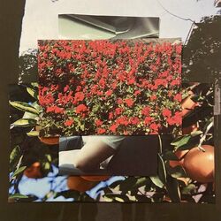 Cover of Orlando