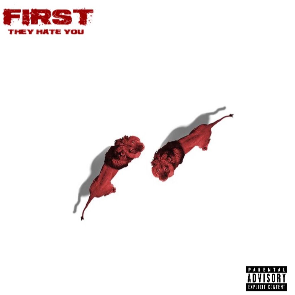 Picture of First They Hate You